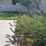 Tony's House In Garden Villa *