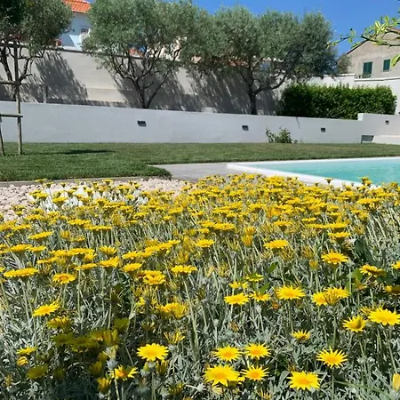 Tony's House In Garden Zadar