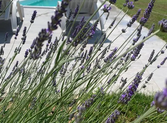 וילה Tony's House In Garden זאדאר