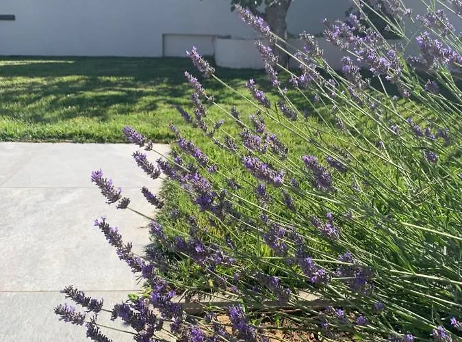 Tony's House In Garden Villa *