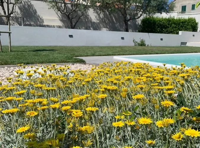 Tony's House In Garden זאדאר