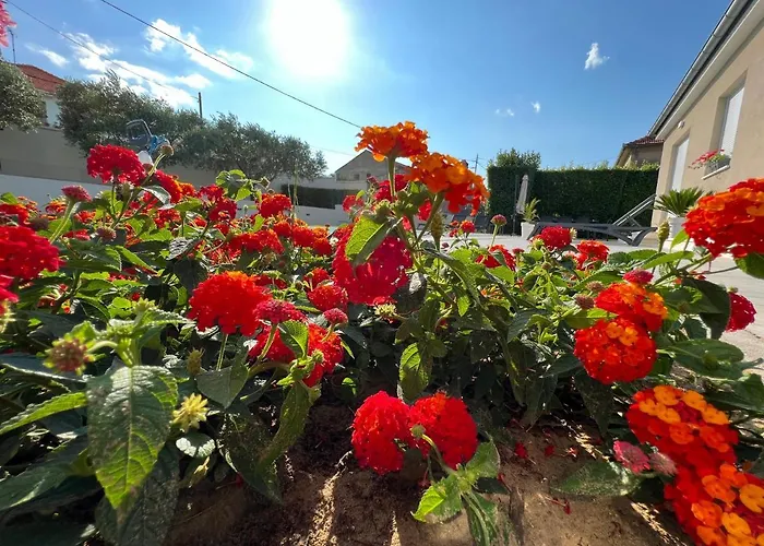 Tony's House In Garden Villa